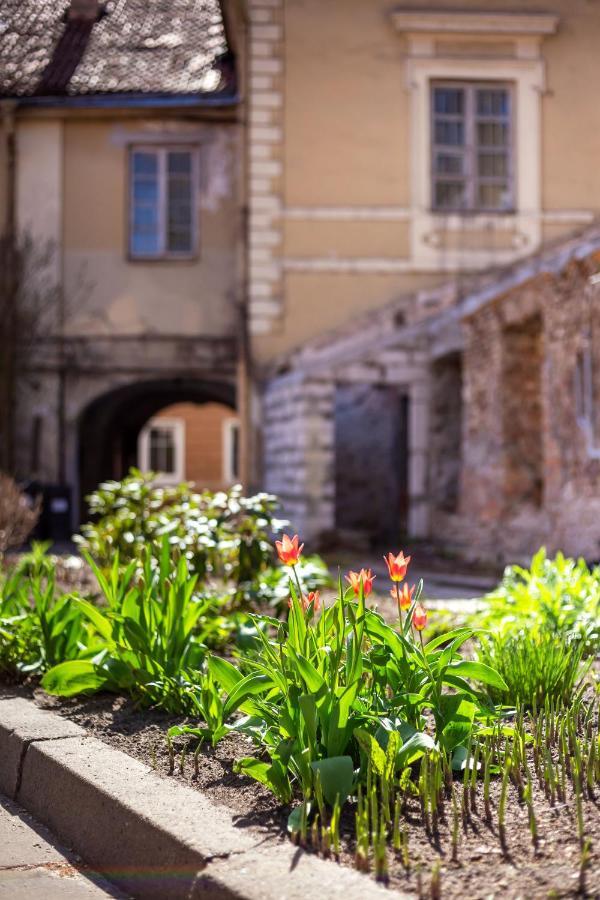 #Stayhere - Historic Vilnius Old Town Chic Studio מראה חיצוני תמונה