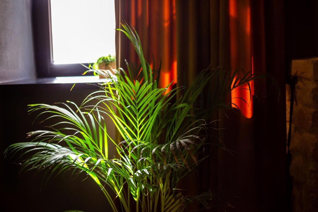 #Stayhere - Historic Vilnius Old Town Chic Studio מראה חיצוני תמונה